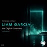 AH Digitial Essentials 013 / Liam Garcia