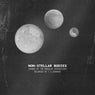 Non-Stellar Bodies