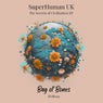 The Secrets of Civilization EP