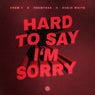 Hard to Say I'm Sorry (Extended Mix)