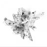 Tumult (Remixed)
