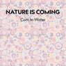 Com In Water