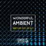 Wonderful Ambient (Dancefloor Picks For DJ's)