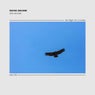 The Flight of a Condor
