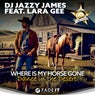 Where Is My Horse Gone
