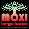 Vortex Loopy Loops Volume 16
