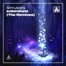 soberstate (The Remixes)