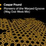 Pioneers Of The Warped Groove