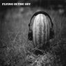 Flying In The Sky EP