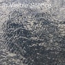 In Visible Silence