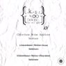 Chlordane Noise Ambient Science