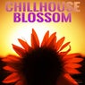 Chillhouse Blossom
