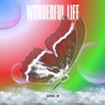 Wonderful Life