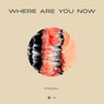 Where Are You Now - Extended