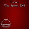Trance Top Spring 2018