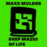 Deep Mazes Of Life