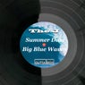Summer Daze / Big Blue Waves