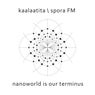 Nanoworld Is Our Terminus