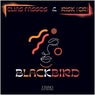 Blackbird