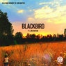 BLACKBIRD (feat. Jon Runyon)