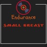 Small Breast (afrobeat)