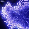 Telomere