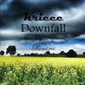 Downfall - The Jay Tripwire Remixes