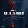 Soulful Harmonies