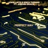 Perfect Way (Extended Mix)