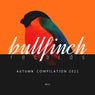 Bullfinch Autumn 2021 Compilation