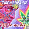 Trip to Malana