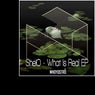 What Is Real EP