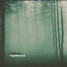 Forgotten Soul