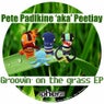 Groovin On The Grass EP