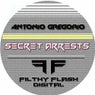 Secret Arrests
