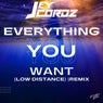 Everything You Want (Low Distance Remix)