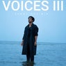 Voices, Vol. 3