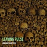 Leaving Pulse