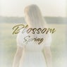 Blossom Spring