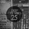Deep City Vibes, Vol. 25