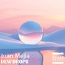 Dew Drops
