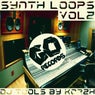 Synth Loops Vol 2 (DJ Tools)