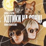 Kotyki na soncі (Roman Crash Extended Remix)