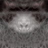 Visage