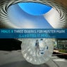 Three Quarks for Muster Mark
