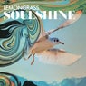 Soulshine