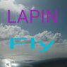 Fly