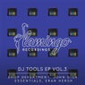Flamingo DJ Tools EP Vol. 3 - Extended Mix