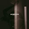 Aniden