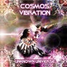 Cosmos Vibration - Unknown Universe